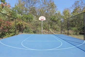 Basketball court